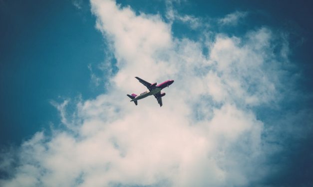 Kan vliegen tandpijn veroorzaken?